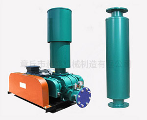 （SR200型）罗茨风机