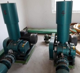 香港宝典全年资料大全