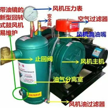 香港宝典全年资料大全