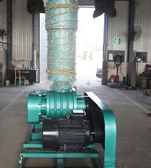 香港宝典全年资料大全