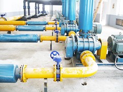 香港宝典全年资料大全