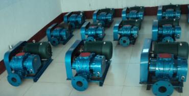 香港宝典全年资料大全