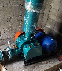 香港宝典全年资料大全