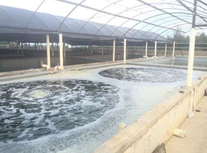 香港宝典全年资料大全