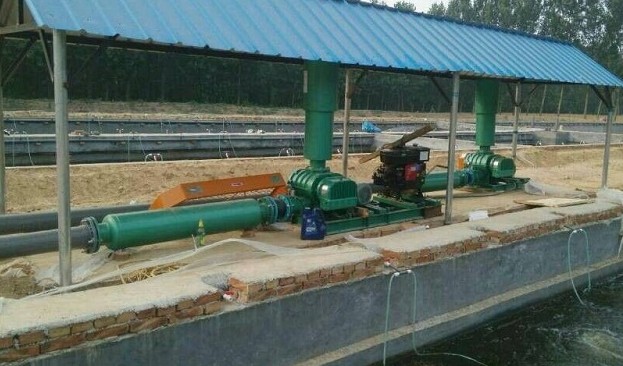 香港宝典全年资料大全