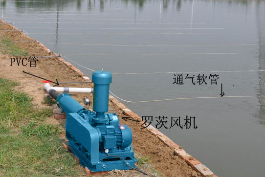 香港宝典全年资料大全