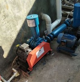 香港宝典全年资料大全