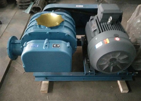 香港宝典全年资料大全