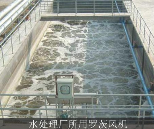 香港宝典全年资料大全