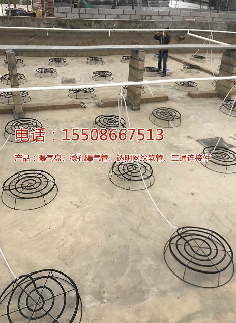 香港宝典全年资料大全