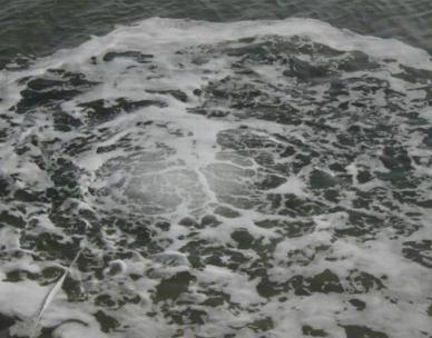 香港宝典全年资料大全