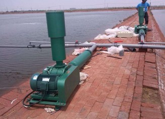 香港宝典全年资料大全