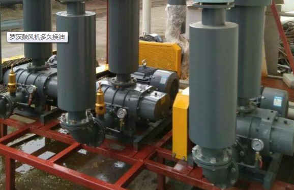 香港宝典全年资料大全