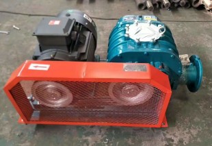 香港宝典全年资料大全