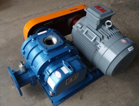 香港宝典全年资料大全