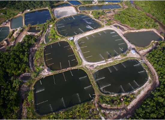 香港宝典全年资料大全