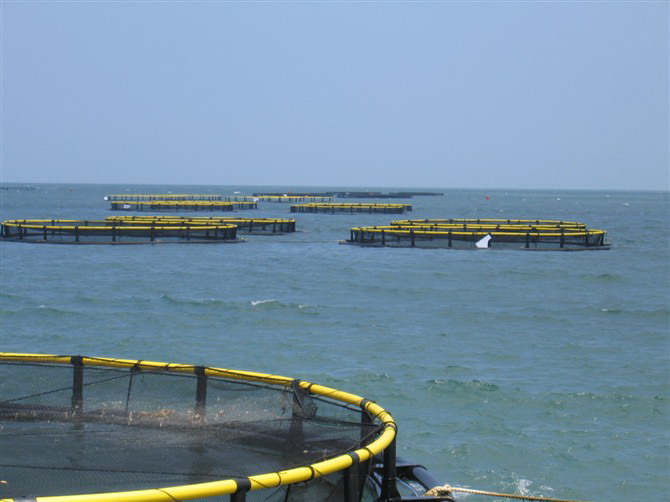 香港宝典全年资料大全