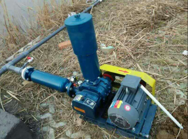 香港宝典全年资料大全