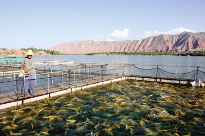 香港宝典全年资料大全