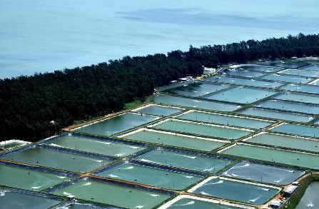 香港宝典全年资料大全