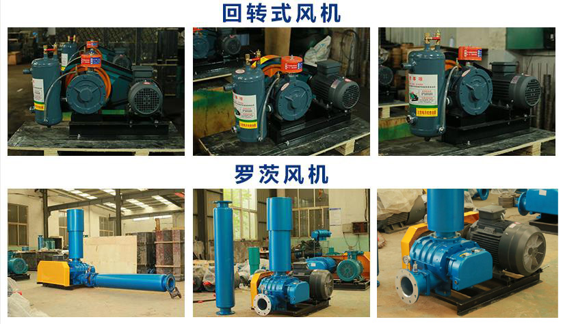 香港宝典全年资料大全