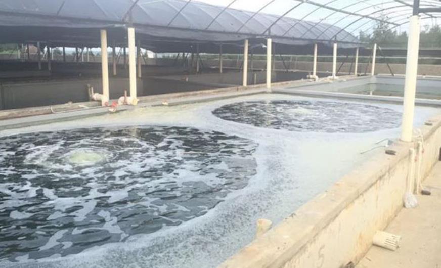 香港宝典全年资料大全