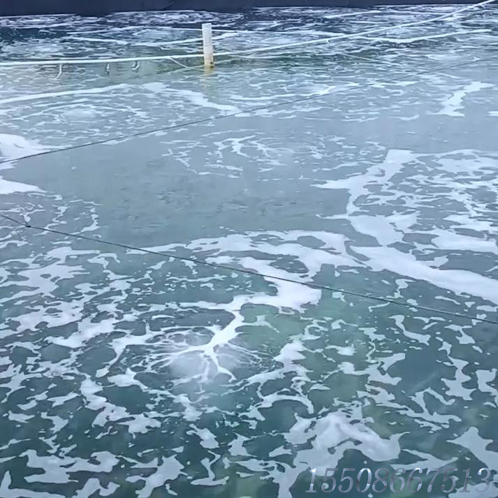 香港宝典全年资料大全